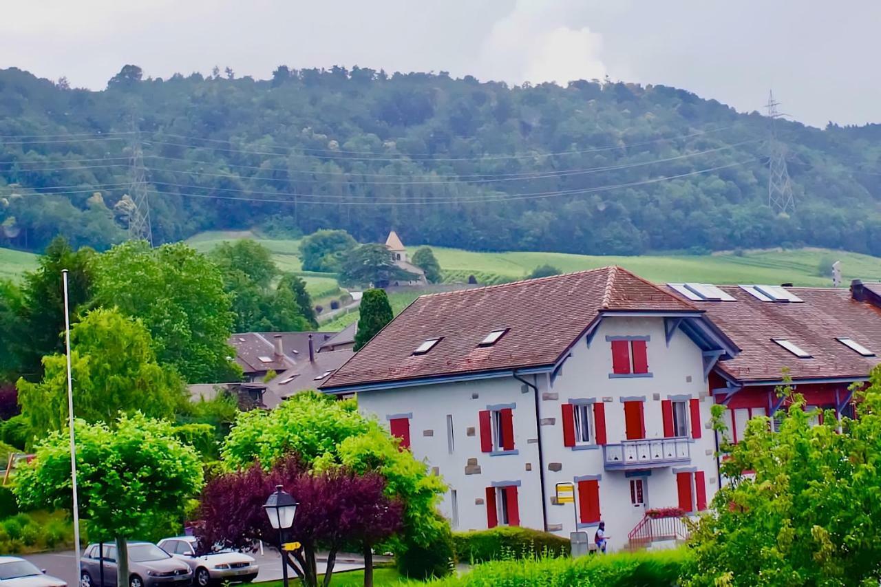 مبيت وإفطار Luins Cave Du Treyblanc المظهر الخارجي الصورة